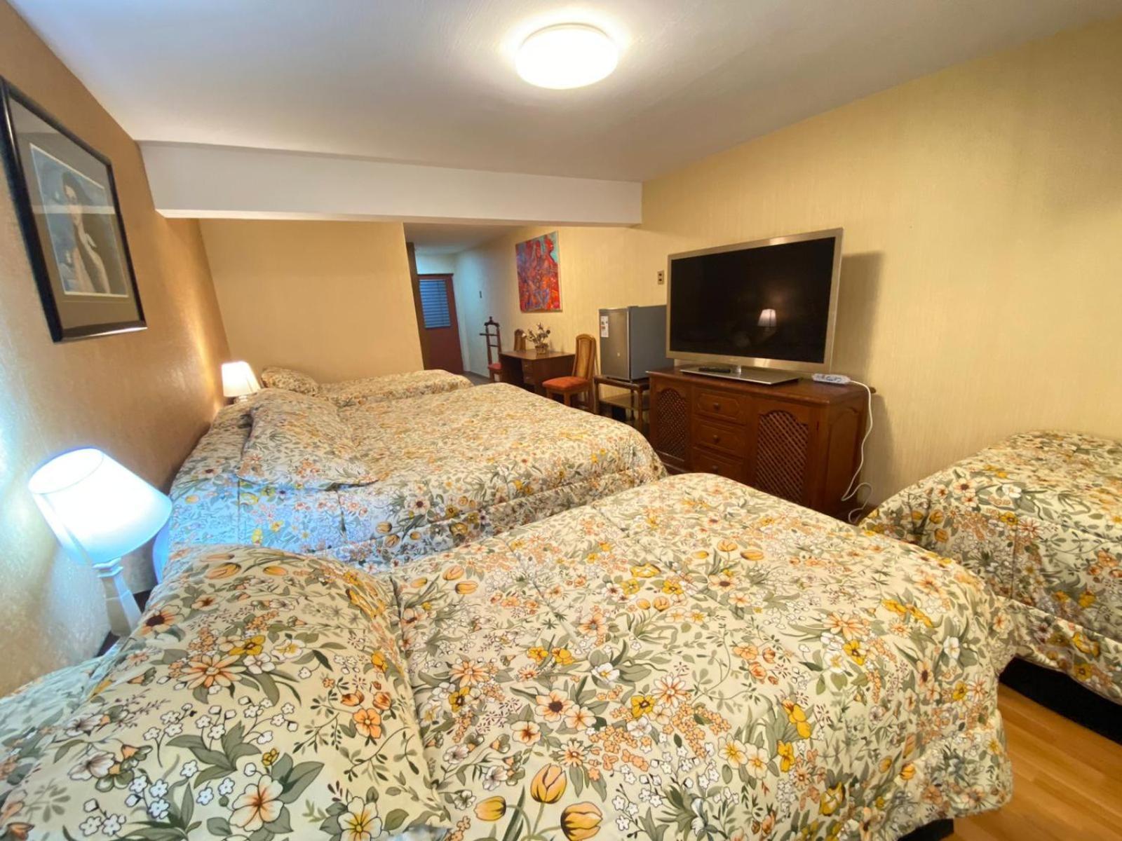 New Hotel Cruz Del Sur Concepcion Ngoại thất bức ảnh