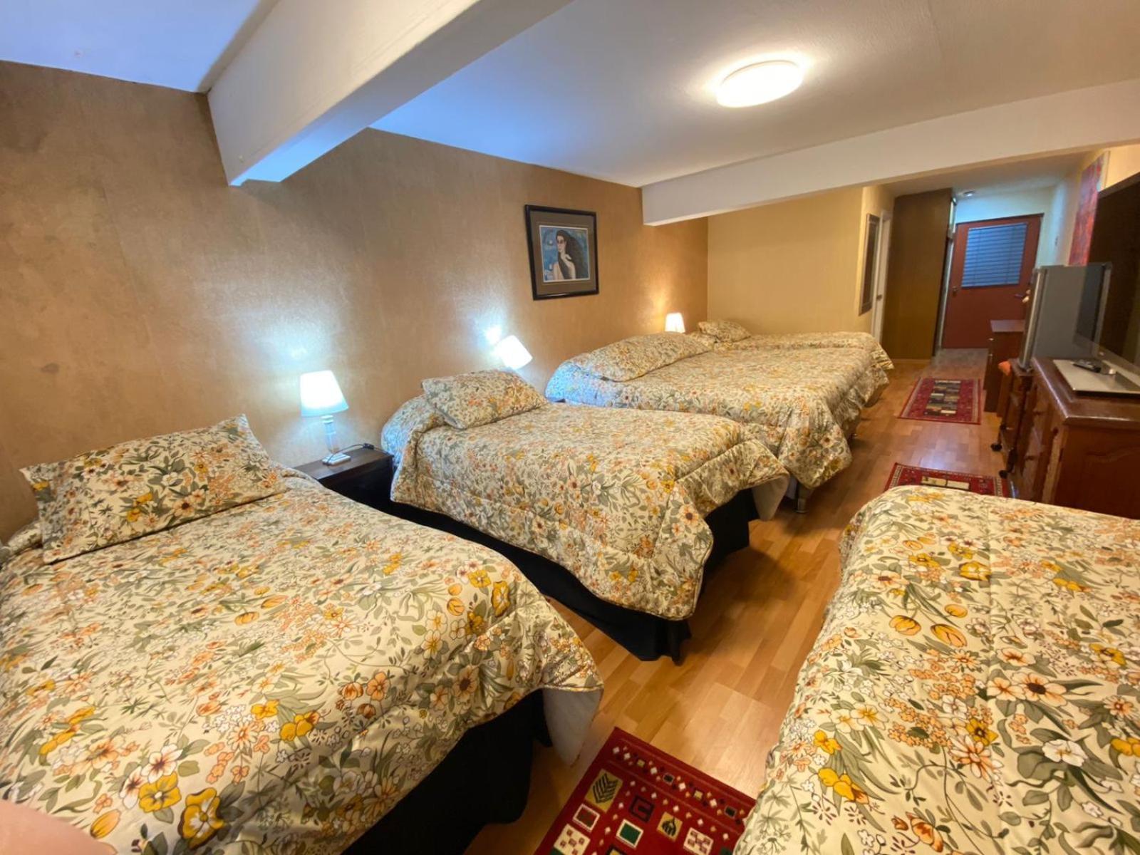 New Hotel Cruz Del Sur Concepcion Ngoại thất bức ảnh
